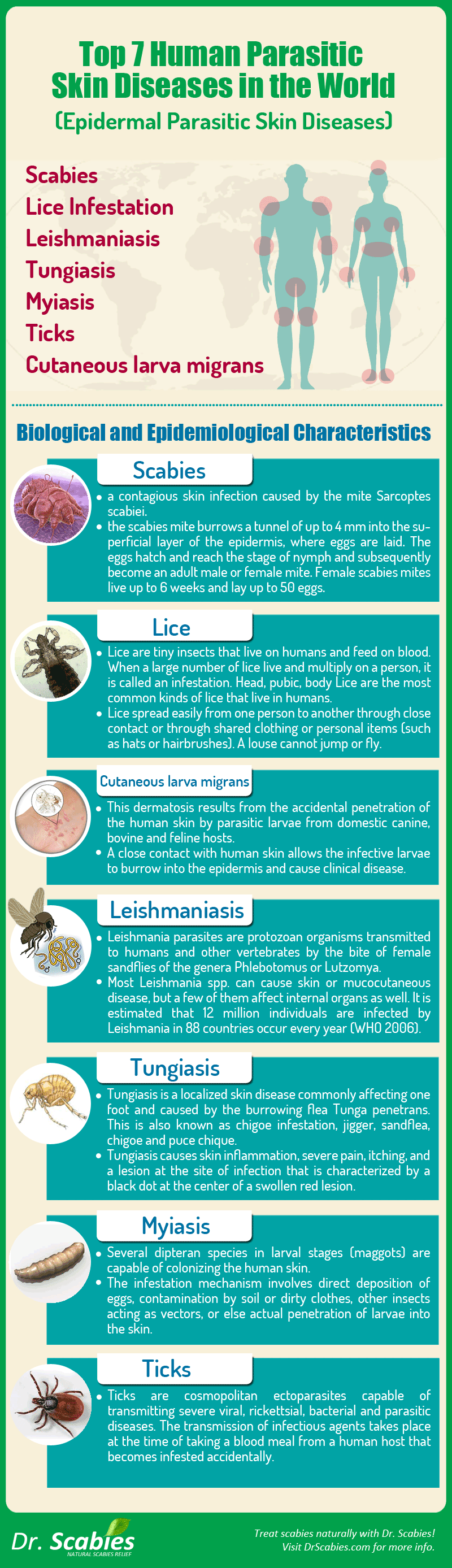 Long Term Impact Factor Of Dr Scabies In Overall Treatment Success Rate